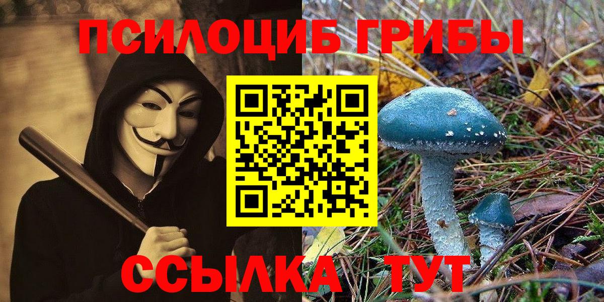 Россошь  как найти закладки  Вход с VPN  Галлюциногенные грибы GOLDEN TEACHER 